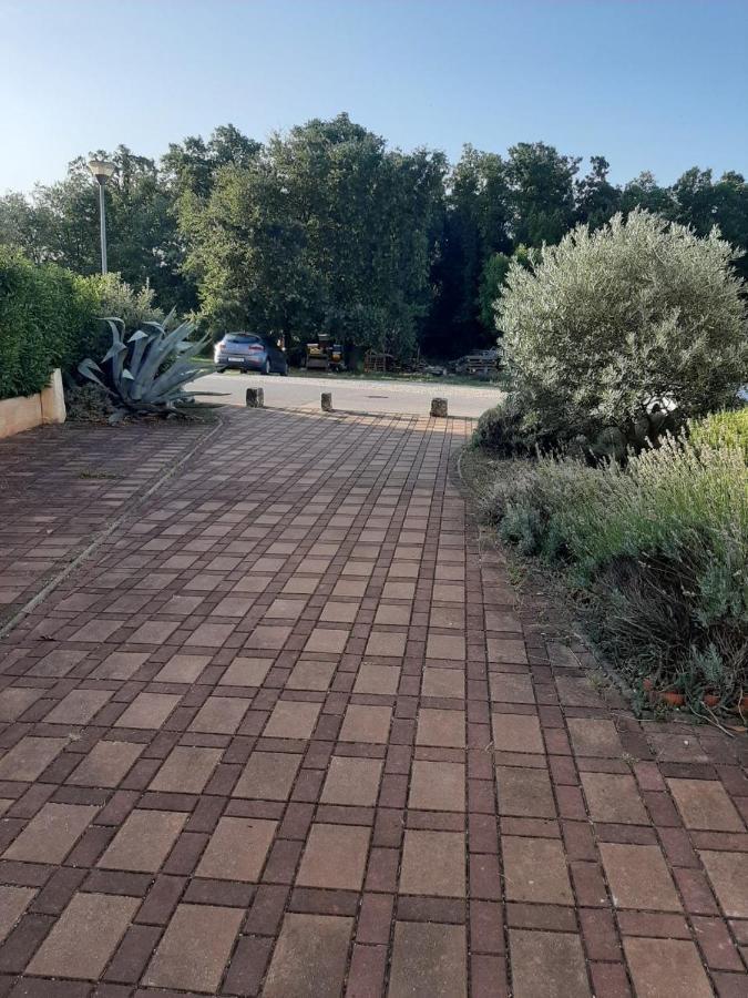 Apartamento Medo Novigrad Istria Exterior foto